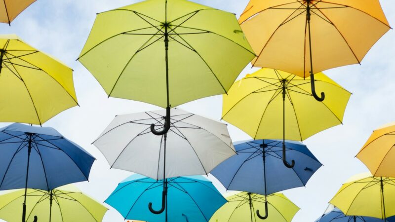 What is the Best Mid-Sized Umbrella?