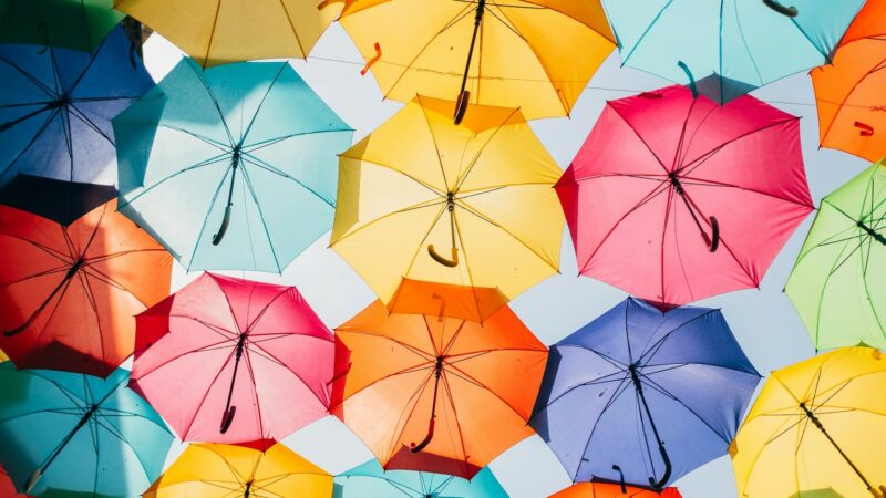 How Do Auto-Open Umbrellas Work?